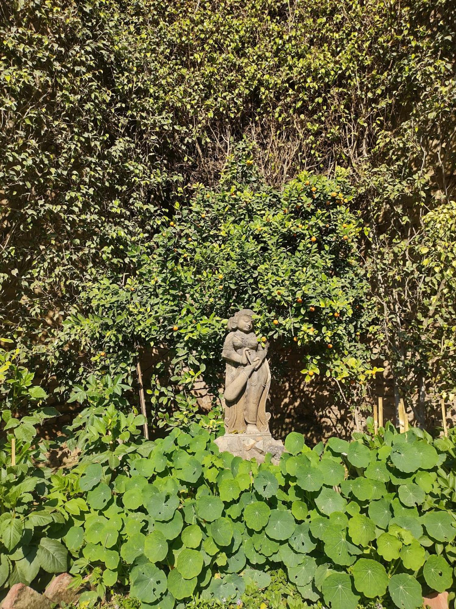 ザ エステート ヴィラ ニューデリー エクステリア 写真